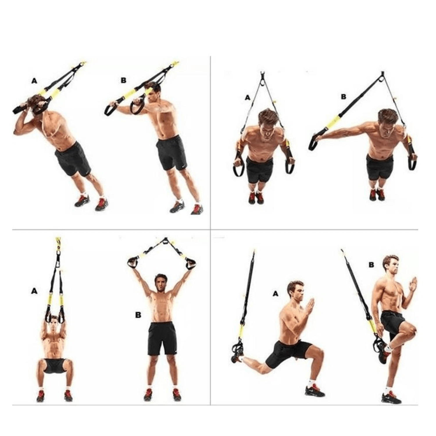 Kit Entrenamiento Trx - Bandas